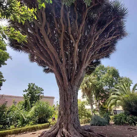 Con Terrazza Soleggiatapiscina Sc788 Appartamento San Miguel de Abona